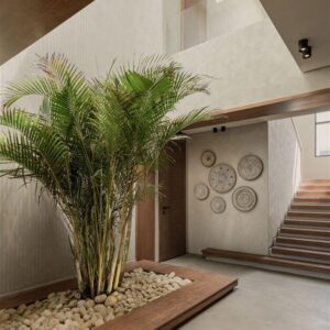 Neocement Wall